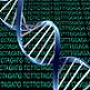 Genome Editing -- A Next Step in Genetic Therapy -- Corrects Hemophilia in Animals