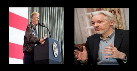 assange-trump