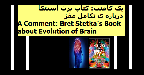brain-stetka