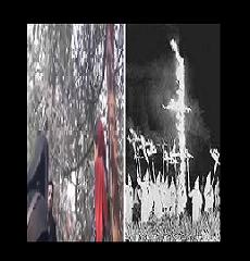 dokhtaran-khiabane-enghelab