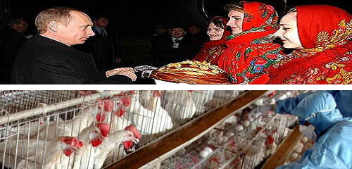fakenews-ukrainians-putin-bird-influenza