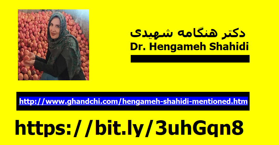 hengameh-shahidi