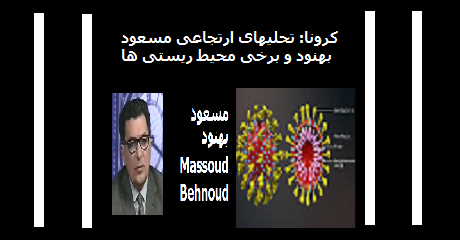 masoud-behnoud-corona