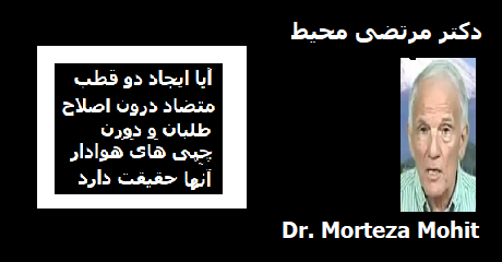 morteza-mohit