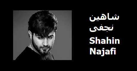 shahin-najafi