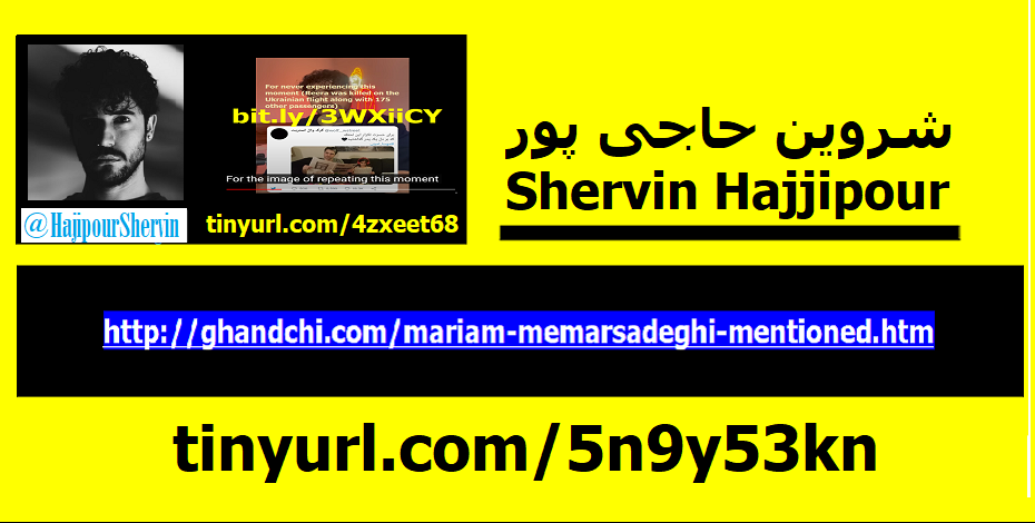 shervin-hajipour