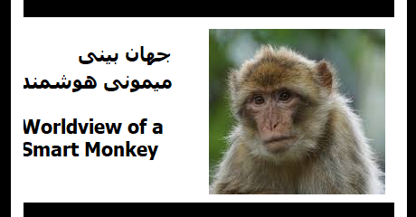 smart-monkey-worldview