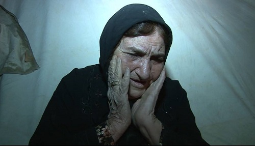 سکینه زیبایی - طبرزدی